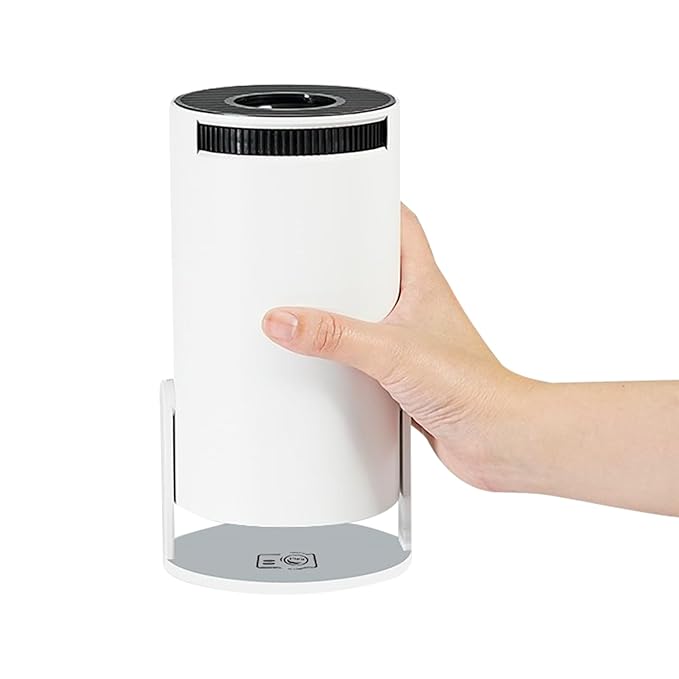 Projector